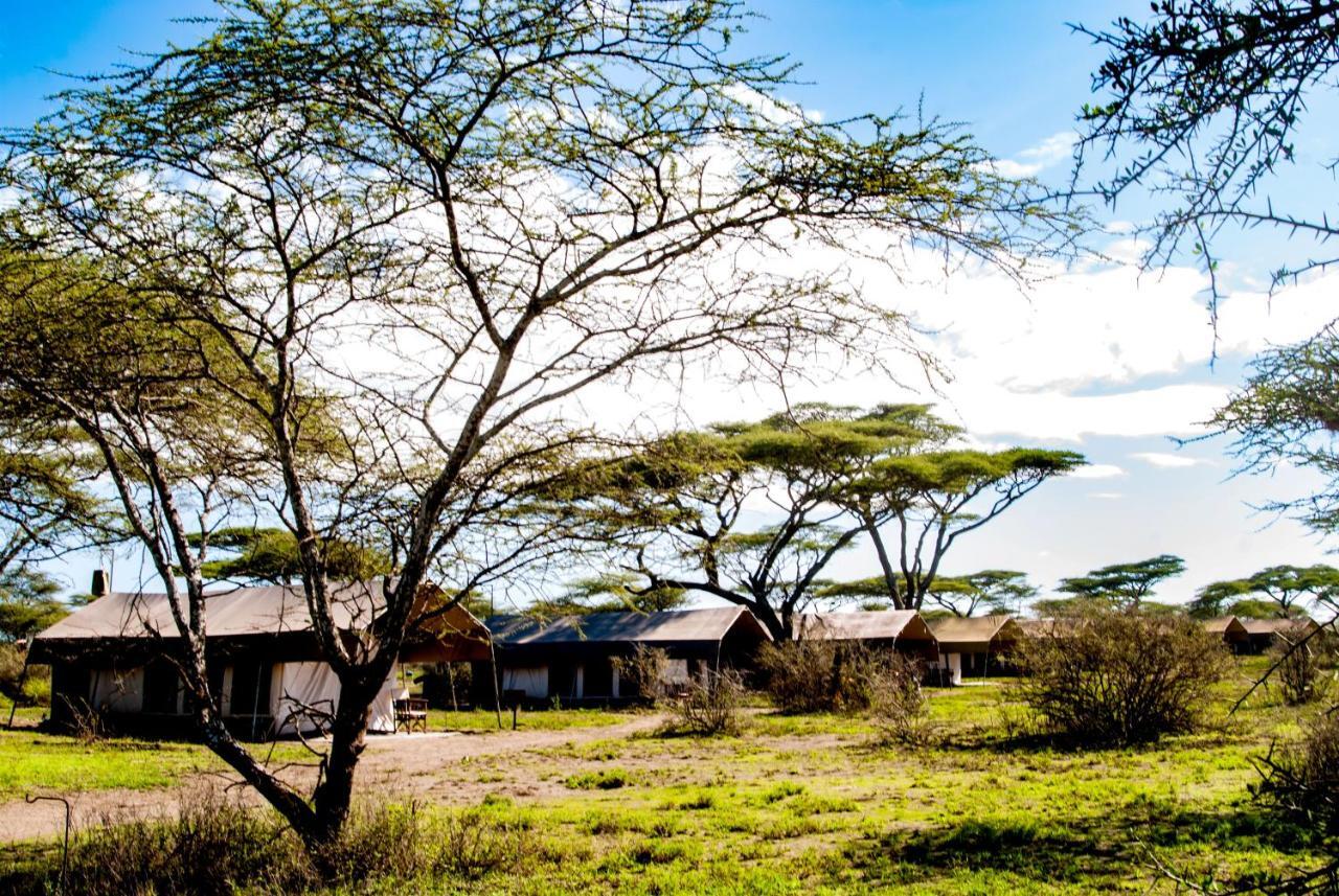 Serengeti Savannah Camps Hotel Soronera Exterior photo