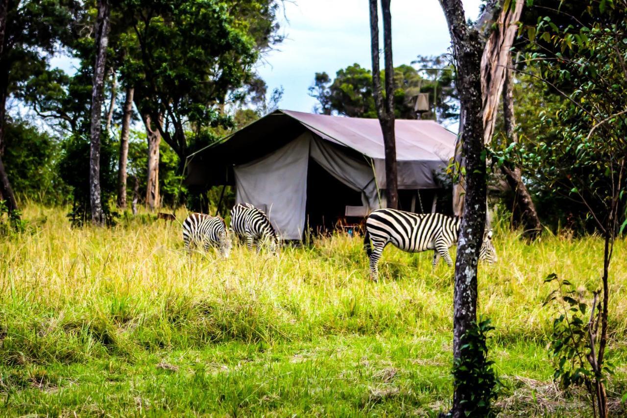 Serengeti Savannah Camps Hotel Soronera Exterior photo