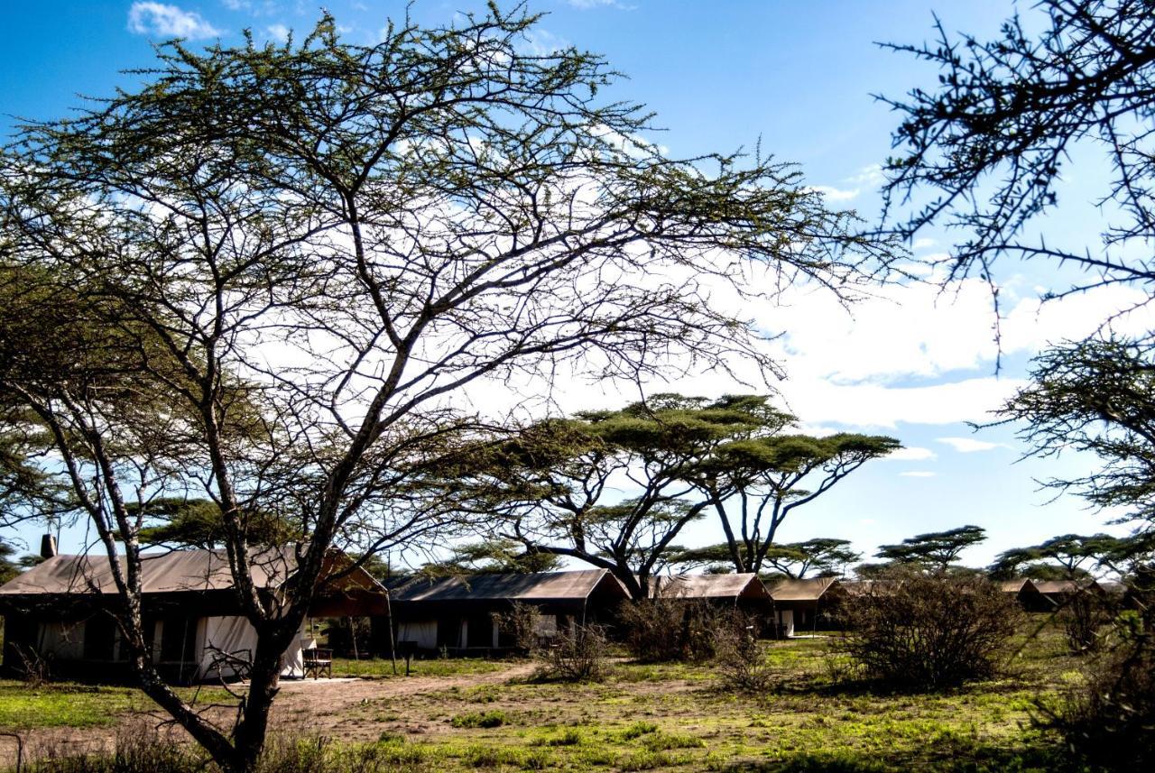 Serengeti Savannah Camps Hotel Soronera Exterior photo