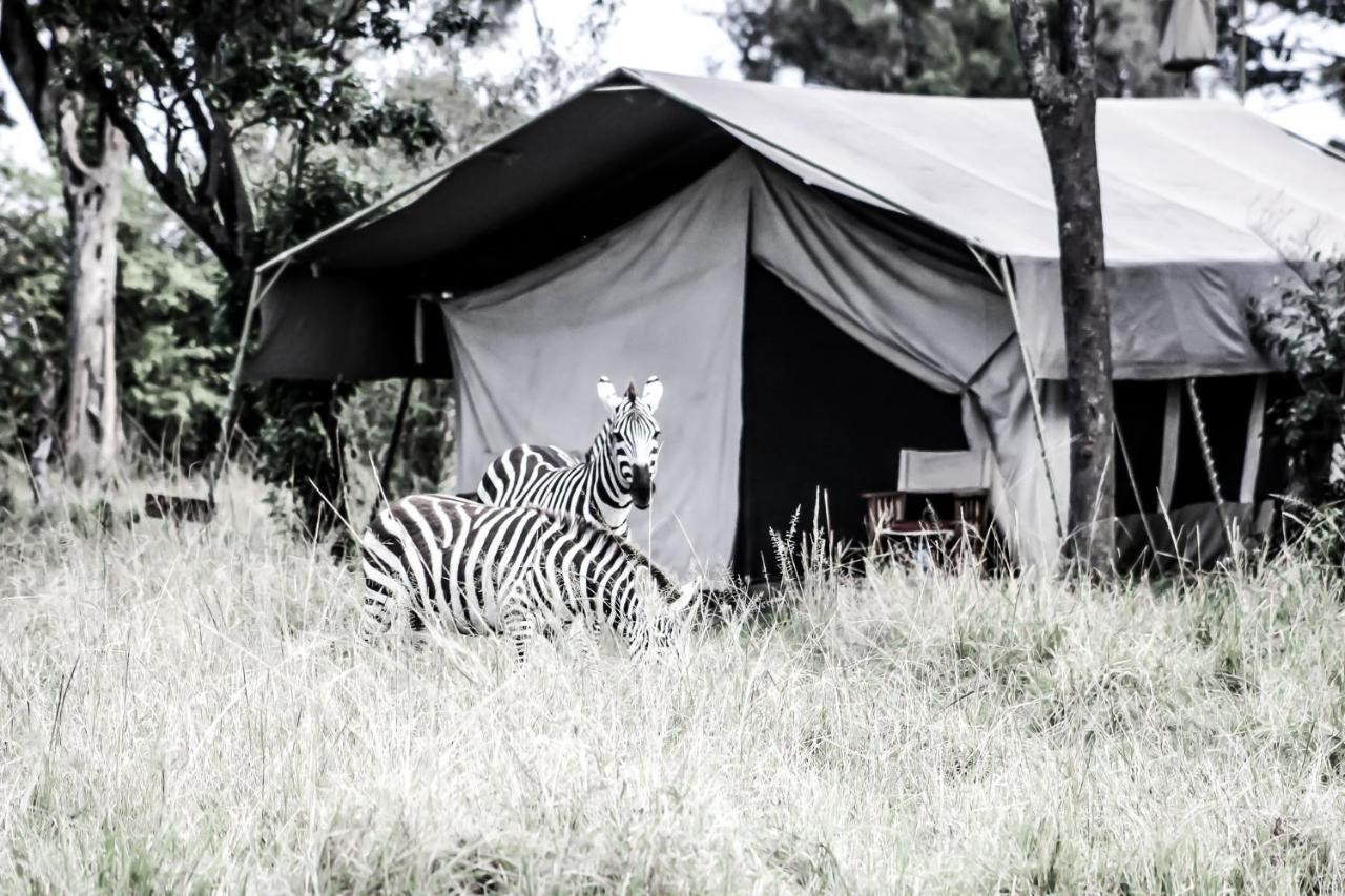 Serengeti Savannah Camps Hotel Soronera Exterior photo