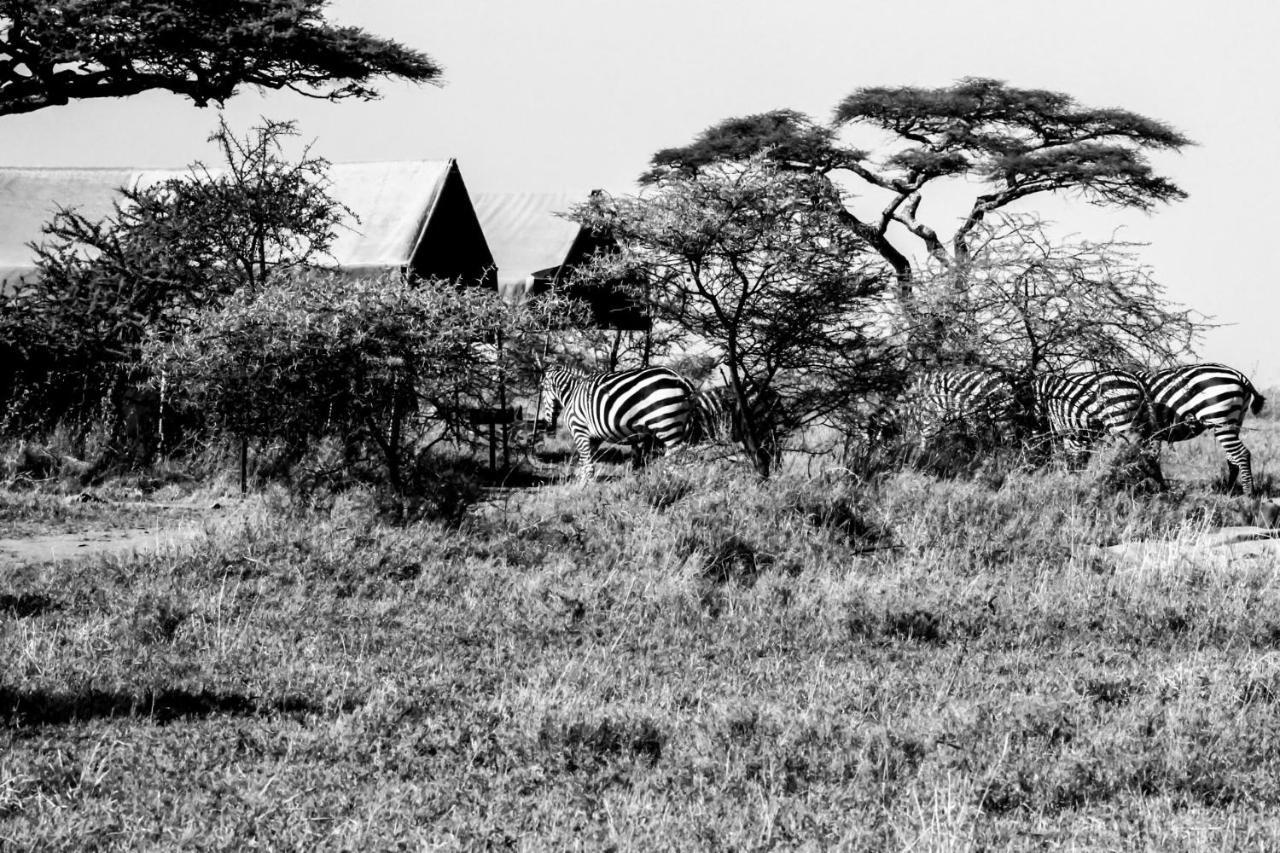 Serengeti Savannah Camps Hotel Soronera Exterior photo